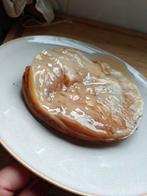 Kombucha zwam, scoby, Ophalen