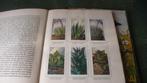 Verkade plaatjes Albums, Ophalen of Verzenden, Gelezen, Plaatjesalbum