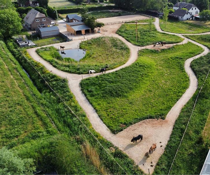 Gezocht Kleinschalige paddock/weiland/stal – regio Hilversum, Dieren en Toebehoren, Stalling en Weidegang, Opfok, Stalling, Weidegang