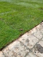 Graszoden aanleg, vernieuwen,maart tot september Eindhoven, Tuin en Terras, Gras en Kunstgras, Ophalen of Verzenden, Nieuw, 20 m² of meer