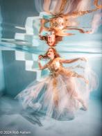 Chotronette white and gold tule dress, Maat 38/40 (M), Chotronette, Wit, Ophalen of Verzenden