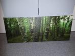 Mooie canvas foto van een stuk bos in groentinten., Ophalen