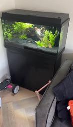 Juwel Primo 110 incl. Cristalprofi E902 filter en verwarming, Ophalen, Zo goed als nieuw, Leeg aquarium