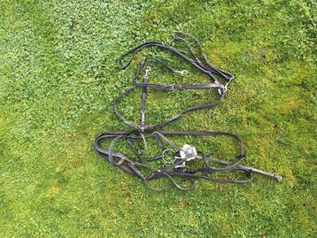 Prestige hoofdstel en Rossner borsttuig  beschikbaar voor biedingen