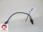 LAMBDASONDE LAMBDA SONDE FORD KA, Ophalen of Verzenden, Gebruikt, Ford