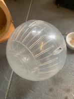 hamsterbal, Dieren en Toebehoren, Ophalen of Verzenden, Gebruikt, Loopwiel of Rad