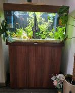 Juwel Rio 125 liter aquarium met onderkast, Dieren en Toebehoren, Ophalen, Zo goed als nieuw, Leeg aquarium