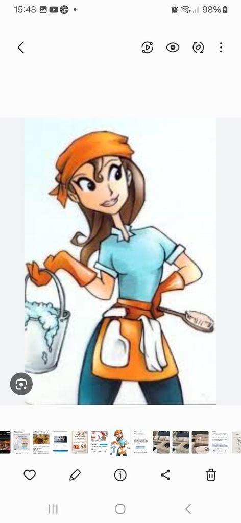 Huishoudelijkehulp aangeboden!, Vacatures, Vacatures | Schoonmaak en Facilitaire diensten, Vanaf 10 jaar, Overige vormen