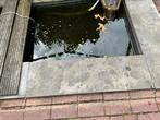 Vijverbak  en koi’s 30 tot 40 cm en 10 hardsteen platen, Dieren en Toebehoren, Vissen | Vijvervissen, Karper of Koi