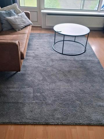 Vloerkleed - 300cm  200cm - licht grijs - laagpollig  beschikbaar voor biedingen