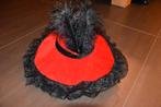 Rood/zwarte dameshoed, Kleding | Dames, Carnavalskleding en Feestkleding, Ophalen of Verzenden, Zo goed als nieuw, Carnaval, Accessoires