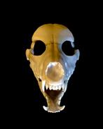 Fursuit 3D Prints, Kibacreations@gmail.com, 7586av, Kostuum, Nieuw