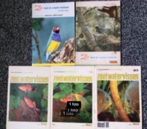 5 Rizla vogels/vissen plaatjesalbums, Boeken, Prentenboeken en Plaatjesalbums, Gelezen, Plaatjesalbum, Ophalen of Verzenden