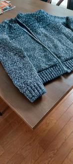 Warm vest/jasje maat 48.blauw grijs,teddy gevoerd.z.g.a.n., Kleding | Heren, Truien en Vesten, Ophalen, Zo goed als nieuw, Maat 48/50 (M)