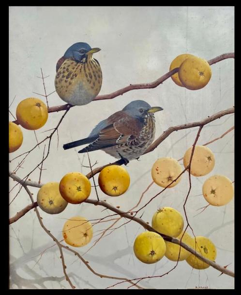Bob Krans, Kraamvogels 50-40 cm nu sterk gereduceerde prijs., Antiek en Kunst, Kunst | Schilderijen | Klassiek, Ophalen of Verzenden