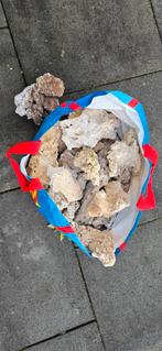 Dood steen zeeaquarium., Dieren en Toebehoren, Vissen | Aquaria en Toebehoren, Ophalen of Verzenden, Plant(en), Steen of Hout