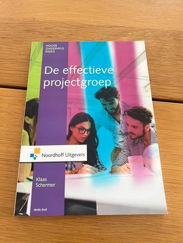 Klaas Schermer - De effectieve projectgroep beschikbaar voor biedingen
