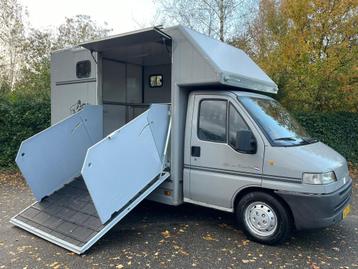 Fiat Ducato paardenwagen Horsetruck zijlader paardenbus beschikbaar voor biedingen