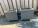 Gratis 2 Plantenbakken beton, Ophalen, Gebruikt, Vierkant, Beton