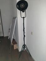 Vloerlamp van wortel woods, Huis en Inrichting, Lampen | Vloerlampen, Ophalen of Verzenden, Zo goed als nieuw, 150 tot 200 cm