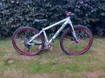 Kuota mountainbike 15 inch, Gebruikt, Hardtail, 45 tot 49 cm, Ophalen