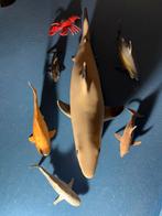 Haaien, Ophalen, Gebruikt