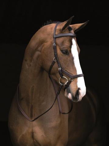 Rambo Micklem Competition Bridle, Bruin, Full / Extra Full beschikbaar voor biedingen