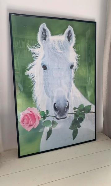 XL Poster wit paard, in zwarte lijst, 92x62cm beschikbaar voor biedingen