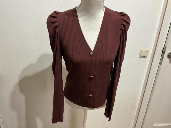 Only vest bruin M, Kleding | Dames, Truien en Vesten, Zo goed als nieuw, Maat 38/40 (M), Bruin, Ophalen of Verzenden
