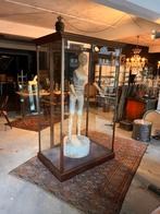 Museum vitrinekast, Ophalen of Verzenden, Zo goed als nieuw, 25 tot 50 cm, 50 tot 100 cm