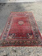 Mooi handgeknoopt Perzisch tapijt, Ophalen, Gebruikt, 200 cm of meer, 200 cm of meer