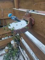 Ouderwetse koeien drinkbakken (2x), Ophalen