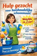 Hulp gezocht voor huishoudelijke schoonmaak, Overige niveaus, Starter, Overige vormen