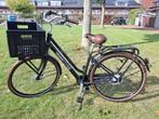 Giant Triple X Damesfiets - Mooie Staat!, Ophalen, Zo goed als nieuw, Giant, Versnellingen