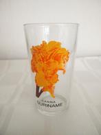Jaren 70 glas Canna Suriname, Ophalen of Verzenden, Frisdrankglas