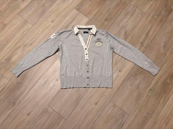 L'Argentina Pullover Dames XXL Grijs, Kleding | Dames, Truien en Vesten, Gedragen, Maat 46/48 (XL) of groter, Grijs, Ophalen of Verzenden