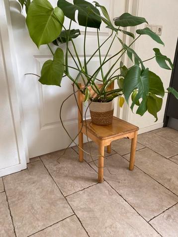 Originele kleuterstoel als plantentafel! beschikbaar voor biedingen