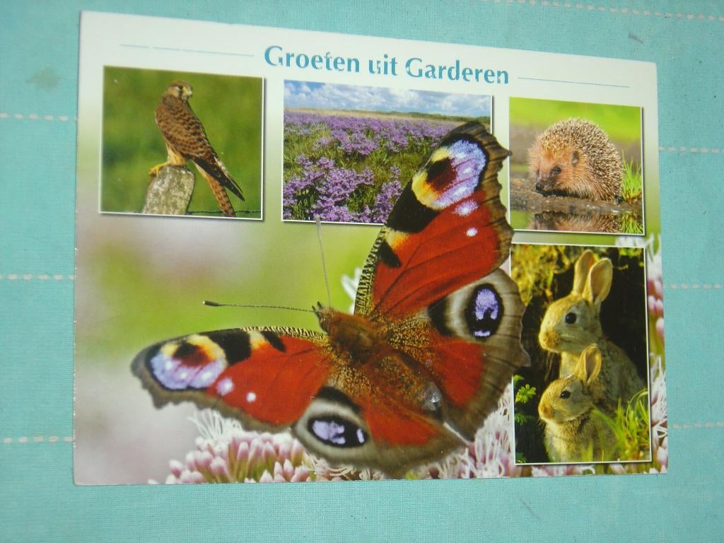 6) kleuren ansichtkaart Garderen, Verzenden, 1980 tot heden, Gelopen, Noord-Brabant