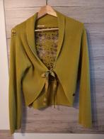 Dames vest, Ophalen of Verzenden, Zo goed als nieuw, Maat 38/40 (M)