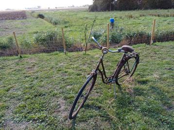 Vintage Damesfiets - Opknapper! beschikbaar voor biedingen