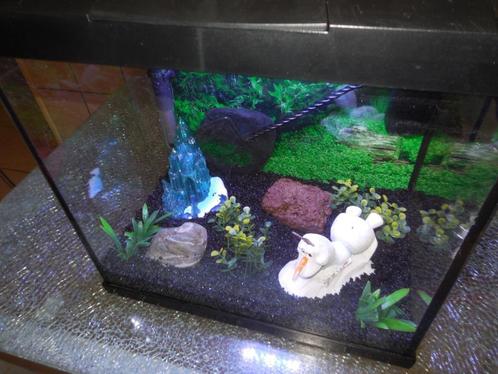 superfish Start 30 Tropical Kit aquarium compleet, Dieren en Toebehoren, Vissen | Aquaria en Toebehoren, Gebruikt, Leeg aquarium