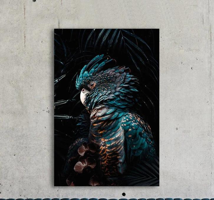 schilderij, plexiglas, foto, kaketoe 80x120, Huis en Inrichting, Woonaccessoires | Schilderijen, Tekeningen en Foto's, Zo goed als nieuw