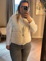 Falconeri bodywarmer, Kleding | Dames, Bodywarmers, Beige, Nieuw, Ophalen of Verzenden, Maat 36 (S)