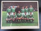 Fortuna 54  Esso voetbalplaat uit het seizoen 1958-1959., Verzamelen, Sportartikelen en Voetbal, Ophalen of Verzenden, Gebruikt