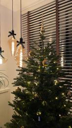 Kerstboom black box Frasier 1,85 meter, Ophalen