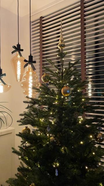 Kerstboom black box Frasier 1,85 meter beschikbaar voor biedingen