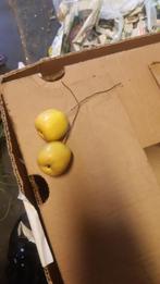 2 appeltjes voor bloemschik, Hobby en Vrije tijd, Knutselen, Ophalen of Verzenden, Zo goed als nieuw, Materiaal