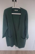 Msch Copenhagen vest groen maat xs / s, Kleding | Dames, Truien en Vesten, Msch Copenhagen, Ophalen of Verzenden, Zo goed als nieuw