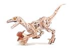 Velociraptor Dinosaurus, LD01, Hobby en Vrije tijd, Modelbouw | Overige, Info@artbizniz.nl, Groter dan 1:32, Nieuw, Ophalen of Verzenden