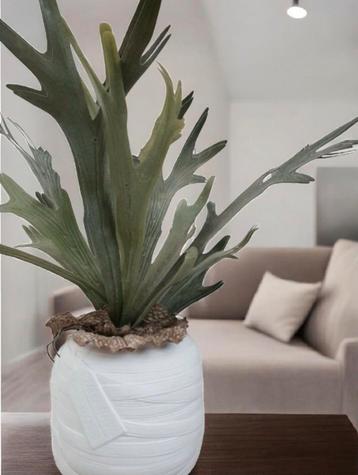* RIVIÈRA MAISON FLOWERPOT & KUNSTPLANT  * beschikbaar voor biedingen